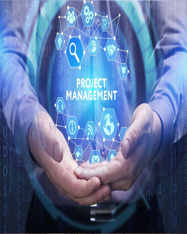 Assign our project manager to handle your account